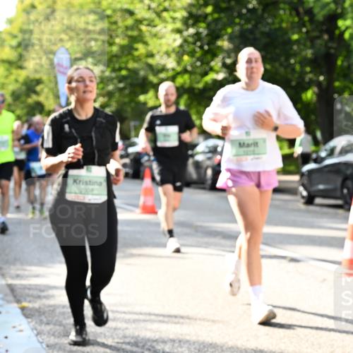 20.09.2026 - PSD Bank Halbmarathon Dr. Thomas Lammeyer http://msf.ph/oto/10497144 20.09.2026 10:46:35 Laufen 2330 meine-sportfotos.de