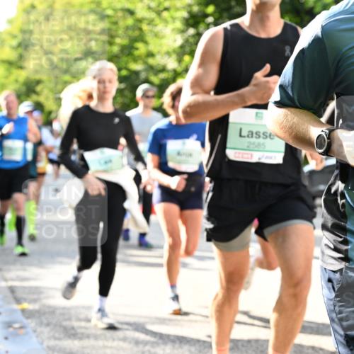 20.09.2026 - PSD Bank Halbmarathon Dr. Thomas Lammeyer http://msf.ph/oto/10497176 20.09.2026 10:46:40 Laufen 2585, 39 meine-sportfotos.de