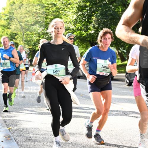 20.09.2026 - PSD Bank Halbmarathon Dr. Thomas Lammeyer http://msf.ph/oto/10497178 20.09.2026 10:46:40 Laufen 2499, 7, 3372, 3354, 2585 meine-sportfotos.de