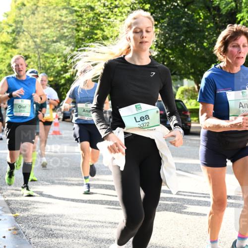 20.09.2026 - PSD Bank Halbmarathon Dr. Thomas Lammeyer http://msf.ph/oto/10497181 20.09.2026 10:46:41 Laufen 2499, 7, 1642, 3372, 3251 meine-sportfotos.de