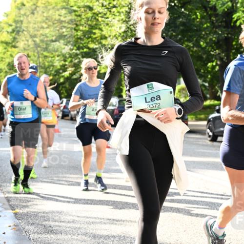 20.09.2026 - PSD Bank Halbmarathon Dr. Thomas Lammeyer http://msf.ph/oto/10497182 20.09.2026 10:46:41 Laufen 2499, 7, 3372, 3354 meine-sportfotos.de