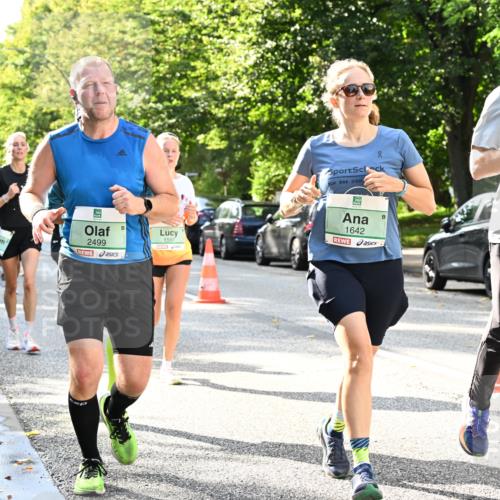 20.09.2026 - PSD Bank Halbmarathon Dr. Thomas Lammeyer http://msf.ph/oto/10497189 20.09.2026 10:46:42 Laufen 90, 1597, 1642, 3654, 2499 meine-sportfotos.de