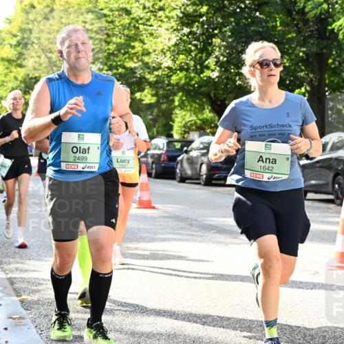 20.09.2026 - PSD Bank Halbmarathon Dr. Thomas Lammeyer http://msf.ph/oto/10497190 20.09.2026 10:46:42 Laufen 2499, 1597, 90, 1642, 3654 meine-sportfotos.de