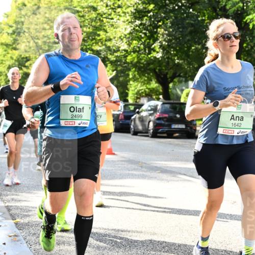 20.09.2026 - PSD Bank Halbmarathon Dr. Thomas Lammeyer http://msf.ph/oto/10497191 20.09.2026 10:46:42 Laufen 2499, 1642 meine-sportfotos.de
