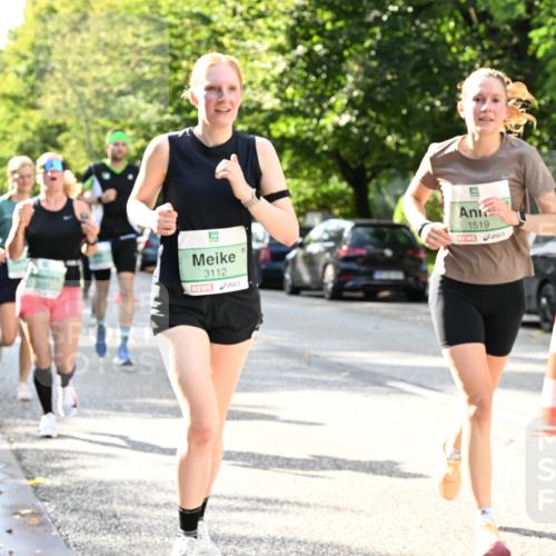 20.09.2026 - PSD Bank Halbmarathon Dr. Thomas Lammeyer http://msf.ph/oto/10497237 20.09.2026 10:46:49 Laufen 3112, 1519 meine-sportfotos.de