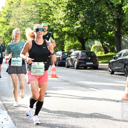 20.09.2026 - PSD Bank Halbmarathon Dr. Thomas Lammeyer http://msf.ph/oto/10497245 20.09.2026 10:46:50 Laufen 1133, 3479 meine-sportfotos.de