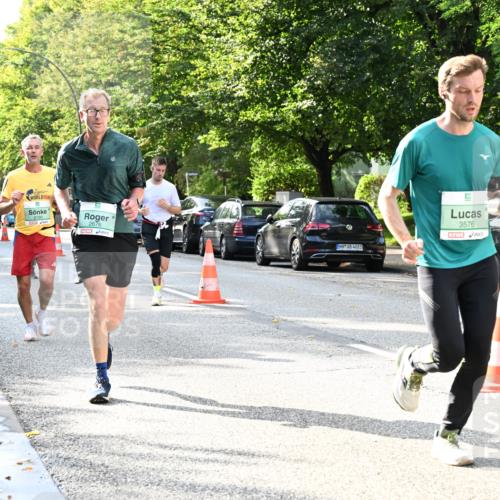 20.09.2026 - PSD Bank Halbmarathon Dr. Thomas Lammeyer http://msf.ph/oto/10497266 20.09.2026 10:46:53 Laufen 2190, 2676, 4683, 3576 meine-sportfotos.de