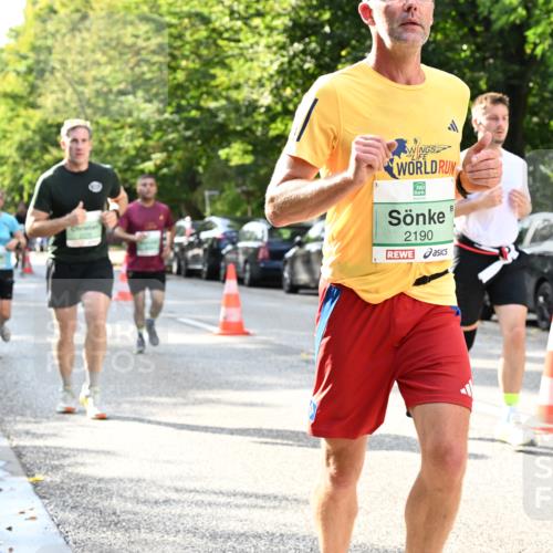 20.09.2026 - PSD Bank Halbmarathon Dr. Thomas Lammeyer http://msf.ph/oto/10497286 20.09.2026 10:46:56 Laufen 2190 meine-sportfotos.de