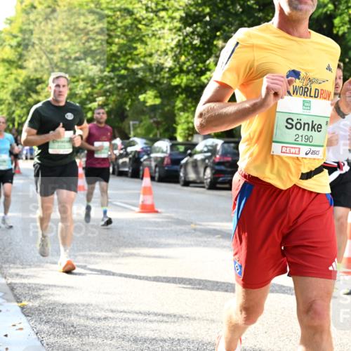 20.09.2026 - PSD Bank Halbmarathon Dr. Thomas Lammeyer http://msf.ph/oto/10497287 20.09.2026 10:46:56 Laufen 2190 meine-sportfotos.de