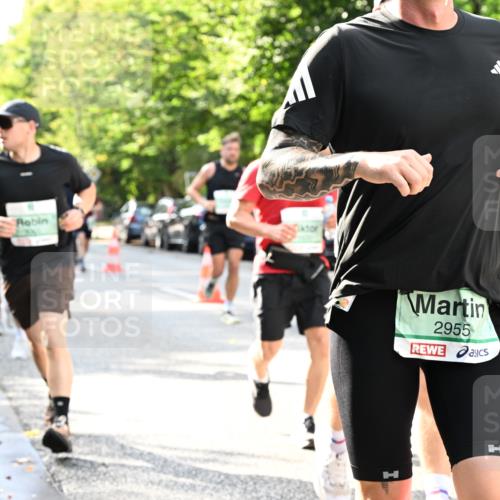 20.09.2026 - PSD Bank Halbmarathon Dr. Thomas Lammeyer http://msf.ph/oto/10497342 20.09.2026 10:47:04 Laufen 2955 meine-sportfotos.de