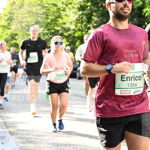 20.09.2026 - PSD Bank Halbmarathon Dr. Thomas Lammeyer http://msf.ph/oto/10497452 20.09.2026 10:47:21 Laufen 1616, 40, 42, 195, 1354, 4569 meine-sportfotos.de