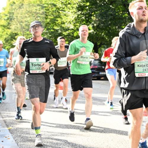 20.09.2026 - PSD Bank Halbmarathon Dr. Thomas Lammeyer http://msf.ph/oto/10497488 20.09.2026 10:47:27 Laufen 1908, 3604, 2470 meine-sportfotos.de