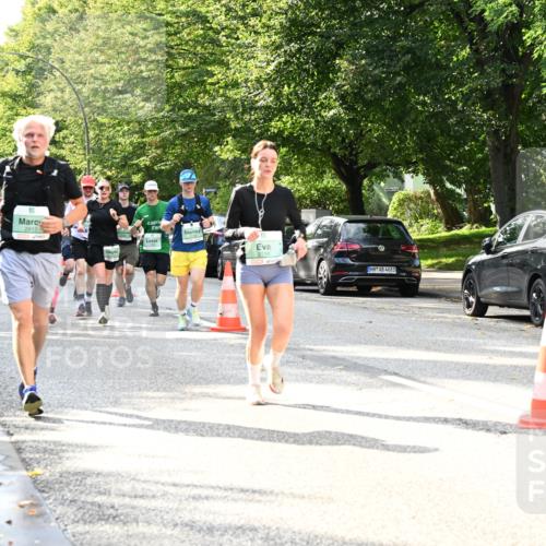 20.09.2026 - PSD Bank Halbmarathon Dr. Thomas Lammeyer http://msf.ph/oto/10497548 20.09.2026 10:47:36 Laufen 2913, 4683 meine-sportfotos.de