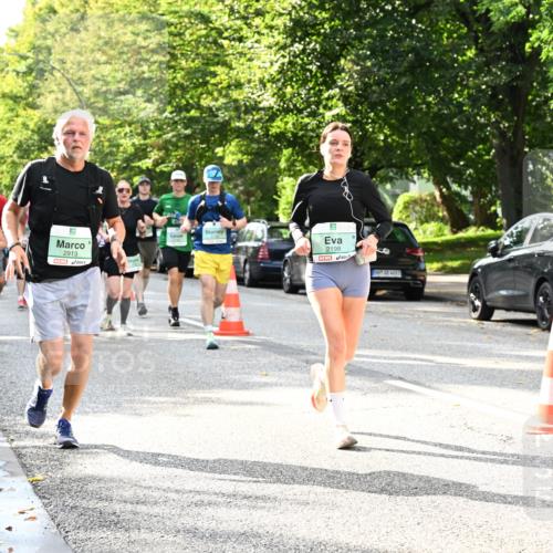 20.09.2026 - PSD Bank Halbmarathon Dr. Thomas Lammeyer http://msf.ph/oto/10497552 20.09.2026 10:47:36 Laufen 2913, 5, 2198 meine-sportfotos.de