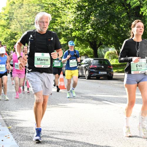 20.09.2026 - PSD Bank Halbmarathon Dr. Thomas Lammeyer http://msf.ph/oto/10497558 20.09.2026 10:47:37 Laufen 2913, 1118, 2198 meine-sportfotos.de