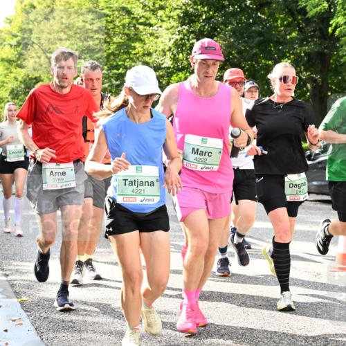 20.09.2026 - PSD Bank Halbmarathon Dr. Thomas Lammeyer http://msf.ph/oto/10497576 20.09.2026 10:47:40 Laufen 1279, 3789, 4221, 4222, 2833, 1761 meine-sportfotos.de