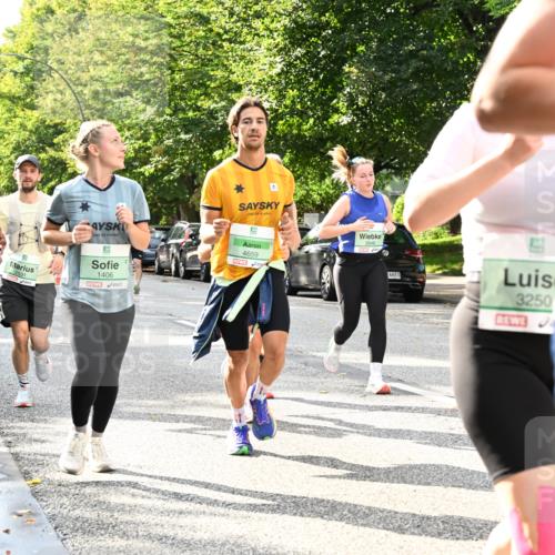 20.09.2026 - PSD Bank Halbmarathon Dr. Thomas Lammeyer http://msf.ph/oto/10497764 20.09.2026 10:48:10 Laufen 1406, 2531, 4659, 2648, 4683, 3250 meine-sportfotos.de