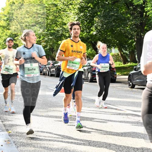 20.09.2026 - PSD Bank Halbmarathon Dr. Thomas Lammeyer http://msf.ph/oto/10497765 20.09.2026 10:48:10 Laufen 1406, 4659, 2648, 3250 meine-sportfotos.de