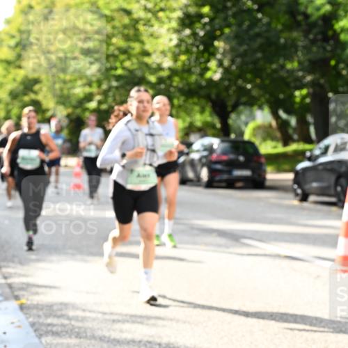 20.09.2026 - PSD Bank Halbmarathon Dr. Thomas Lammeyer http://msf.ph/oto/10497785 20.09.2026 10:48:13 Laufen  meine-sportfotos.de