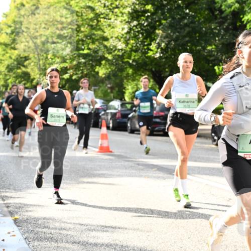 20.09.2026 - PSD Bank Halbmarathon Dr. Thomas Lammeyer http://msf.ph/oto/10497793 20.09.2026 10:48:14 Laufen 3373, 3578, 3661 meine-sportfotos.de