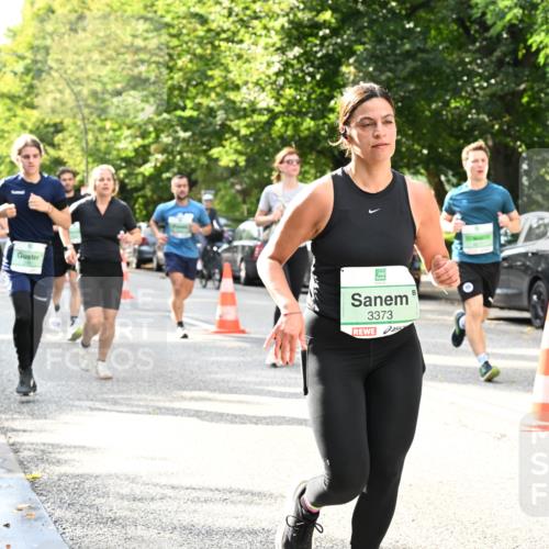 20.09.2026 - PSD Bank Halbmarathon Dr. Thomas Lammeyer http://msf.ph/oto/10497804 20.09.2026 10:48:16 Laufen 3373 meine-sportfotos.de