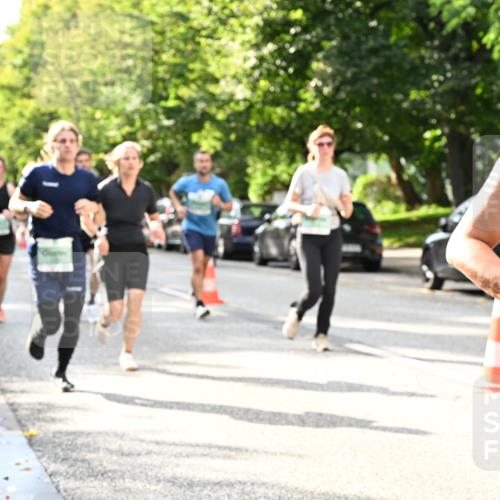 20.09.2026 - PSD Bank Halbmarathon Dr. Thomas Lammeyer http://msf.ph/oto/10497808 20.09.2026 10:48:16 Laufen  meine-sportfotos.de