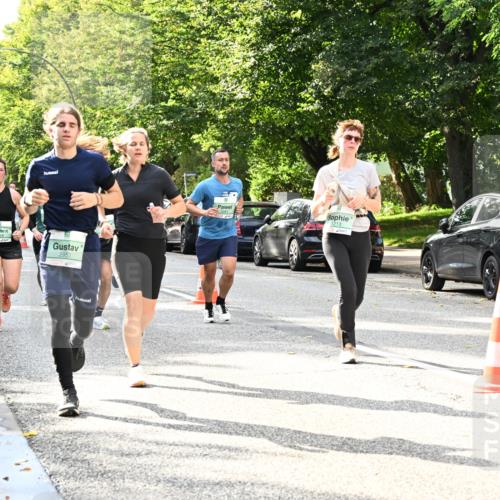 20.09.2026 - PSD Bank Halbmarathon Dr. Thomas Lammeyer http://msf.ph/oto/10497809 20.09.2026 10:48:17 Laufen 1818, 1, 2953, 1213, 4617, 50 meine-sportfotos.de