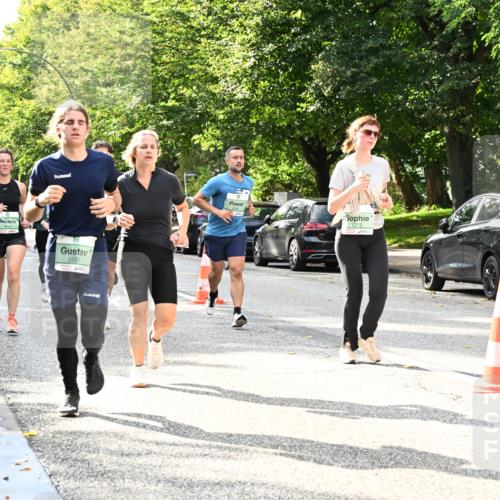 20.09.2026 - PSD Bank Halbmarathon Dr. Thomas Lammeyer http://msf.ph/oto/10497810 20.09.2026 10:48:17 Laufen 2953, 1213, 4617 meine-sportfotos.de