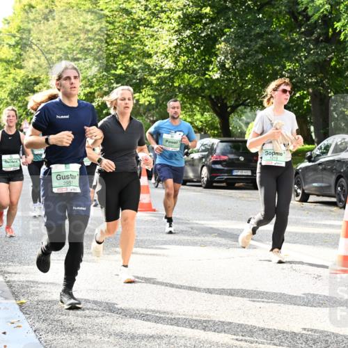 20.09.2026 - PSD Bank Halbmarathon Dr. Thomas Lammeyer http://msf.ph/oto/10497812 20.09.2026 10:48:17 Laufen 2953, 1213 meine-sportfotos.de