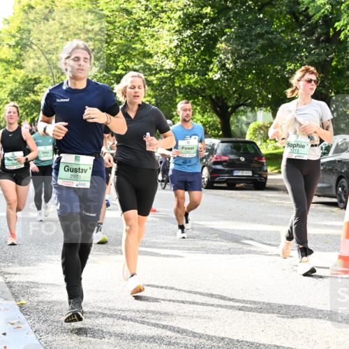20.09.2026 - PSD Bank Halbmarathon Dr. Thomas Lammeyer http://msf.ph/oto/10497814 20.09.2026 10:48:17 Laufen 1818, 2953, 3281, 1213 meine-sportfotos.de