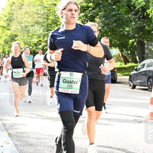 20.09.2026 - PSD Bank Halbmarathon Dr. Thomas Lammeyer http://msf.ph/oto/10497820 20.09.2026 10:48:18 Laufen 1818, 2953, 3281, 1213 meine-sportfotos.de