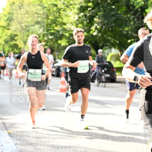 20.09.2026 - PSD Bank Halbmarathon Dr. Thomas Lammeyer http://msf.ph/oto/10497825 20.09.2026 10:48:19 Laufen  meine-sportfotos.de