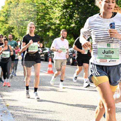 20.09.2026 - PSD Bank Halbmarathon Dr. Thomas Lammeyer http://msf.ph/oto/10497864 20.09.2026 10:48:25 Laufen 3374, 2900, 201, 2612 meine-sportfotos.de