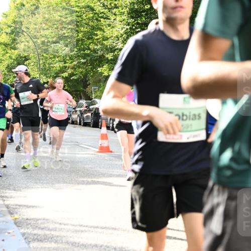 20.09.2026 - PSD Bank Halbmarathon Dr. Thomas Lammeyer http://msf.ph/oto/10497926 20.09.2026 10:48:34 Laufen 591, 4612 meine-sportfotos.de