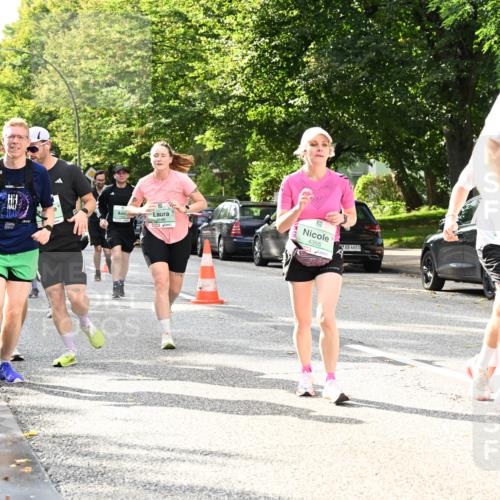 20.09.2026 - PSD Bank Halbmarathon Dr. Thomas Lammeyer http://msf.ph/oto/10497935 20.09.2026 10:48:35 Laufen 3146, 4355, 4683, 1555 meine-sportfotos.de