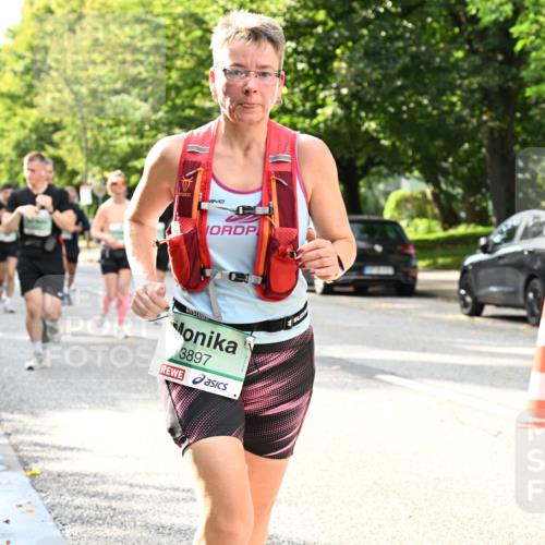 20.09.2026 - PSD Bank Halbmarathon Dr. Thomas Lammeyer http://msf.ph/oto/10498086 20.09.2026 10:48:50 Laufen 840, 3897 meine-sportfotos.de