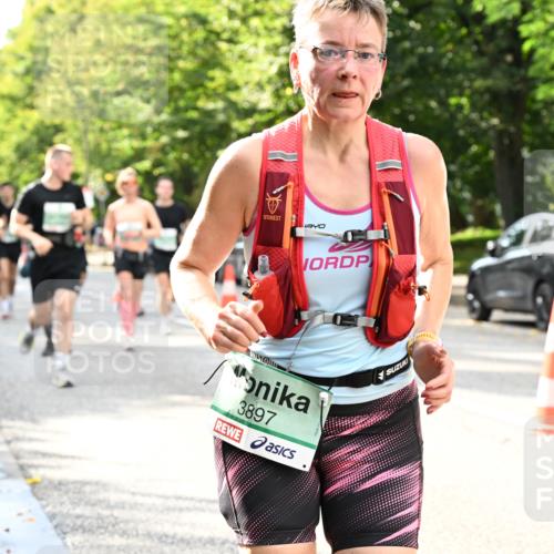 20.09.2026 - PSD Bank Halbmarathon Dr. Thomas Lammeyer http://msf.ph/oto/10498089 20.09.2026 10:48:51 Laufen 3897 meine-sportfotos.de