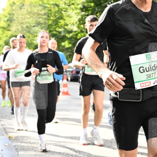 20.09.2026 - PSD Bank Halbmarathon Dr. Thomas Lammeyer http://msf.ph/oto/10498143 20.09.2026 10:48:56 Laufen 3456, 3877 meine-sportfotos.de