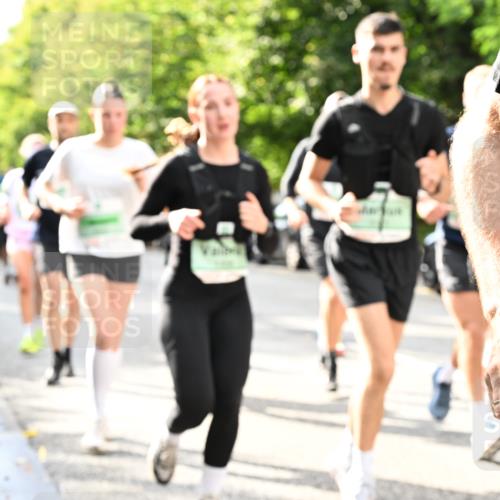 20.09.2026 - PSD Bank Halbmarathon Dr. Thomas Lammeyer http://msf.ph/oto/10498148 20.09.2026 10:48:56 Laufen  meine-sportfotos.de
