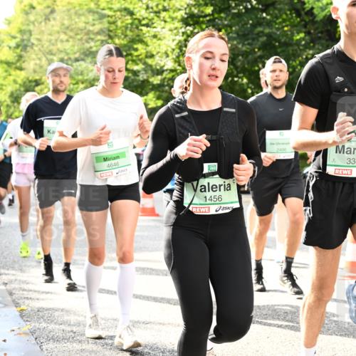 20.09.2026 - PSD Bank Halbmarathon Dr. Thomas Lammeyer http://msf.ph/oto/10498149 20.09.2026 10:48:57 Laufen 4646, 1456, 2486, 3345 meine-sportfotos.de