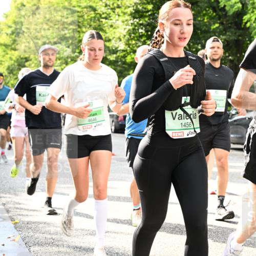 20.09.2026 - PSD Bank Halbmarathon Dr. Thomas Lammeyer http://msf.ph/oto/10498151 20.09.2026 10:48:57 Laufen 4646, 1456, 3345, 45 meine-sportfotos.de