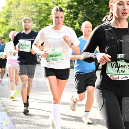 20.09.2026 - PSD Bank Halbmarathon Dr. Thomas Lammeyer http://msf.ph/oto/10498153 20.09.2026 10:48:57 Laufen 4646, 1456 meine-sportfotos.de
