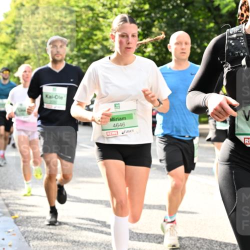 20.09.2026 - PSD Bank Halbmarathon Dr. Thomas Lammeyer http://msf.ph/oto/10498155 20.09.2026 10:48:57 Laufen 4646, 82, 1456 meine-sportfotos.de