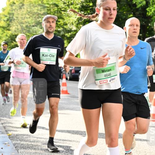 20.09.2026 - PSD Bank Halbmarathon Dr. Thomas Lammeyer http://msf.ph/oto/10498156 20.09.2026 10:48:58 Laufen 2092, 4646, 2486 meine-sportfotos.de