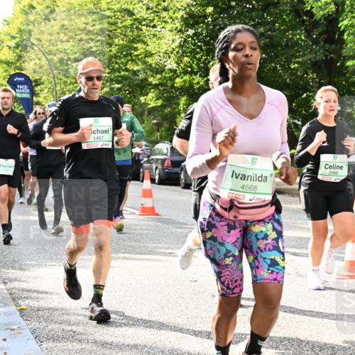 20.09.2026 - PSD Bank Halbmarathon Dr. Thomas Lammeyer http://msf.ph/oto/10498290 20.09.2026 10:49:12 Laufen 02, 00, 1487, 4568, 2986 meine-sportfotos.de