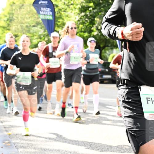 20.09.2026 - PSD Bank Halbmarathon Dr. Thomas Lammeyer http://msf.ph/oto/10498612 20.09.2026 10:49:16 Laufen 02, 00, 1281 meine-sportfotos.de