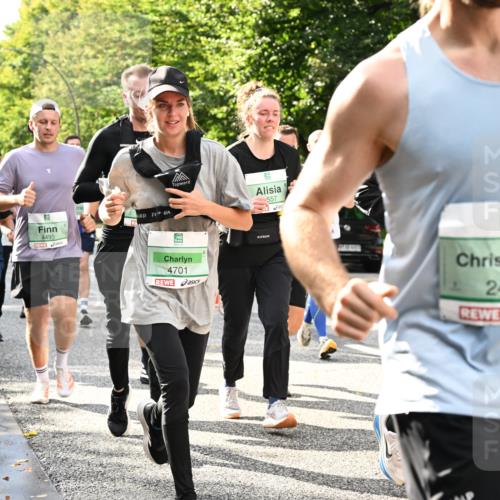 20.09.2026 - PSD Bank Halbmarathon Dr. Thomas Lammeyer http://msf.ph/oto/10498667 20.09.2026 10:49:21 Laufen 4495, 4701, 557, 2489, 25 meine-sportfotos.de