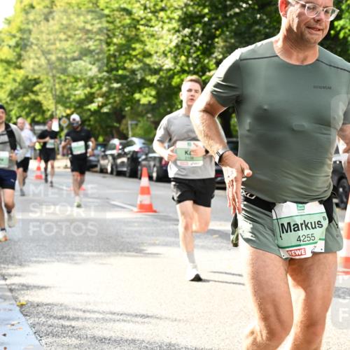 20.09.2026 - PSD Bank Halbmarathon Dr. Thomas Lammeyer http://msf.ph/oto/10498742 20.09.2026 10:49:29 Laufen 4255 meine-sportfotos.de