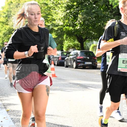 20.09.2026 - PSD Bank Halbmarathon Dr. Thomas Lammeyer http://msf.ph/oto/10498829 20.09.2026 10:49:37 Laufen 4, 2219 meine-sportfotos.de