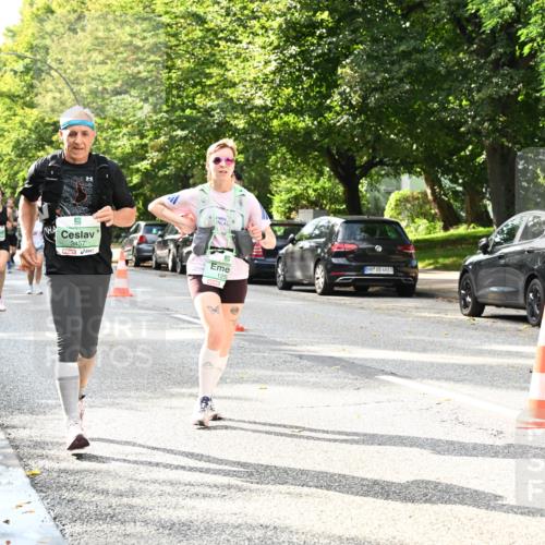 20.09.2026 - PSD Bank Halbmarathon Dr. Thomas Lammeyer http://msf.ph/oto/10498894 20.09.2026 10:49:43 Laufen 3457, 125, 4683 meine-sportfotos.de